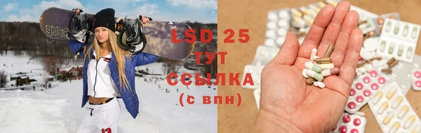 ECSTASY Алзамай