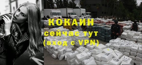 spice Алексин