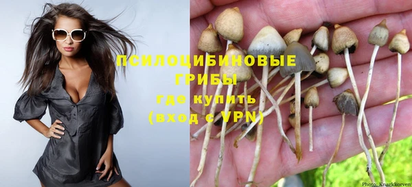 шишки Алексеевка