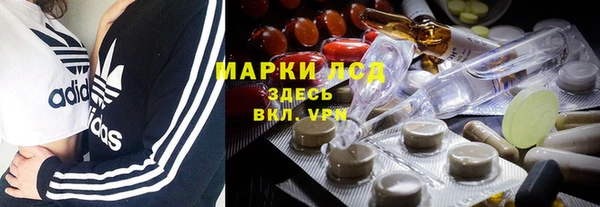 ECSTASY Алзамай