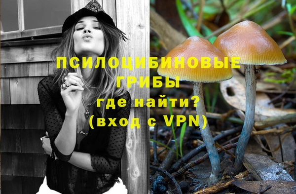 ECSTASY Алзамай