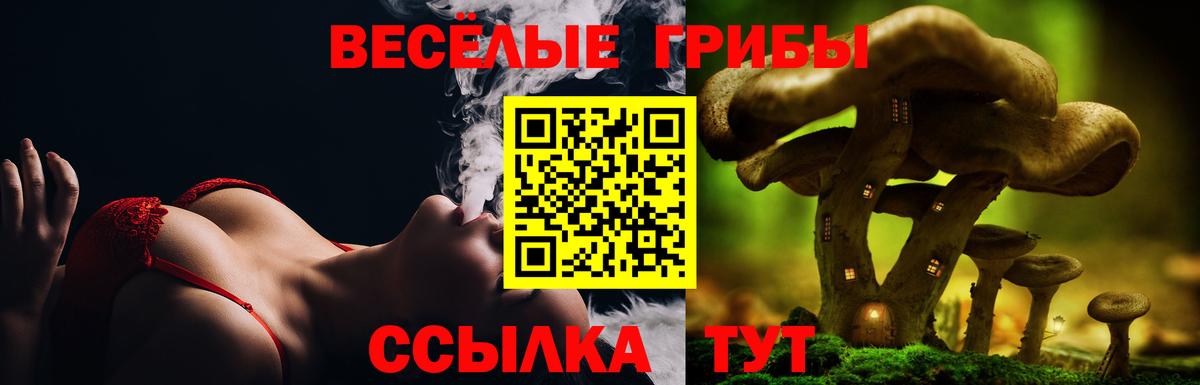 Галлюциногенные грибы Cubensis  наркота  Вход с VPN  Аргун  Псилоцибиновые грибы прущие грибы 